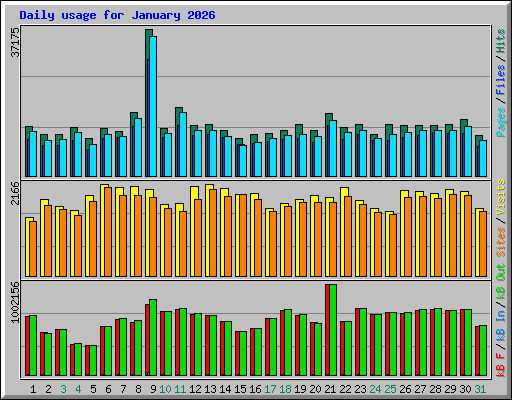 Daily usage for January 2026