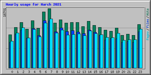 Hourly usage for March 2021