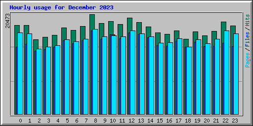 Hourly usage for December 2023