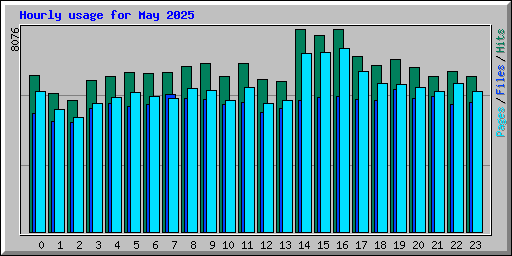 Hourly usage for May 2025