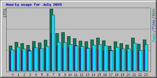 Hourly usage for July 2025