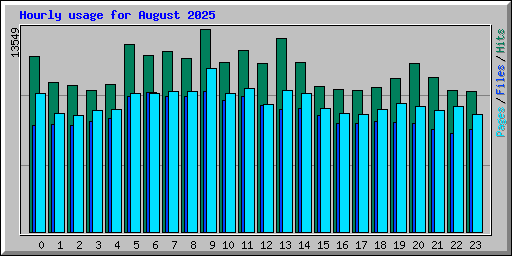 Hourly usage for August 2025