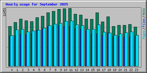 Hourly usage for September 2025