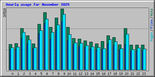 Hourly usage for November 2025