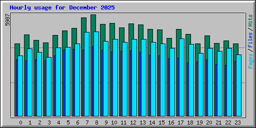 Hourly usage for December 2025