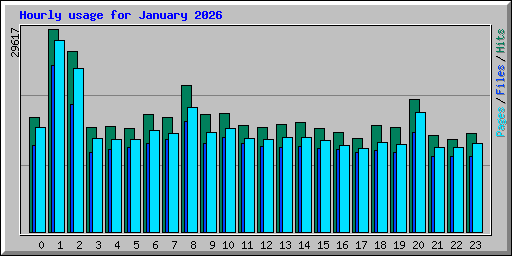 Hourly usage for January 2026