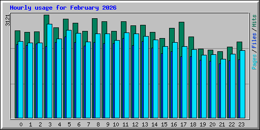 Hourly usage for February 2026