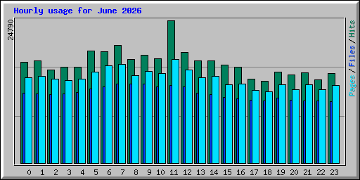 Hourly usage for June 2026