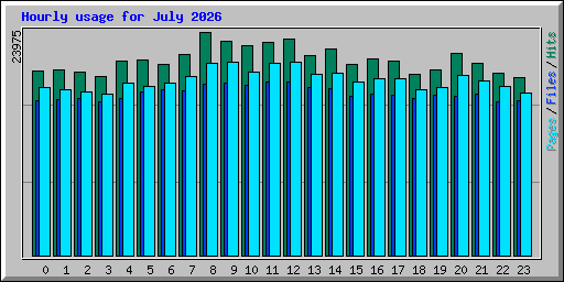 Hourly usage for July 2026