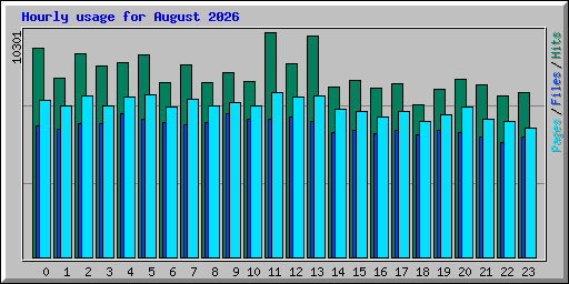 Hourly usage for August 2026